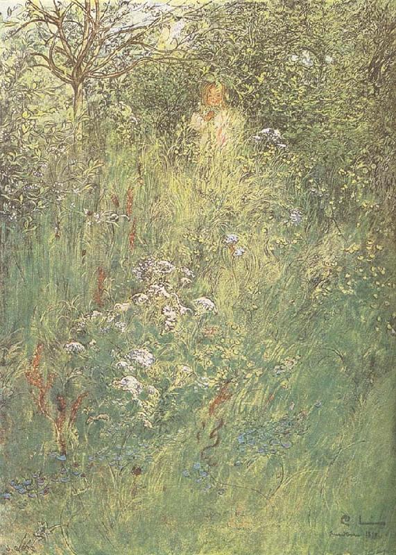 Carl Larsson in the Hawthorn Hedge France oil painting art
